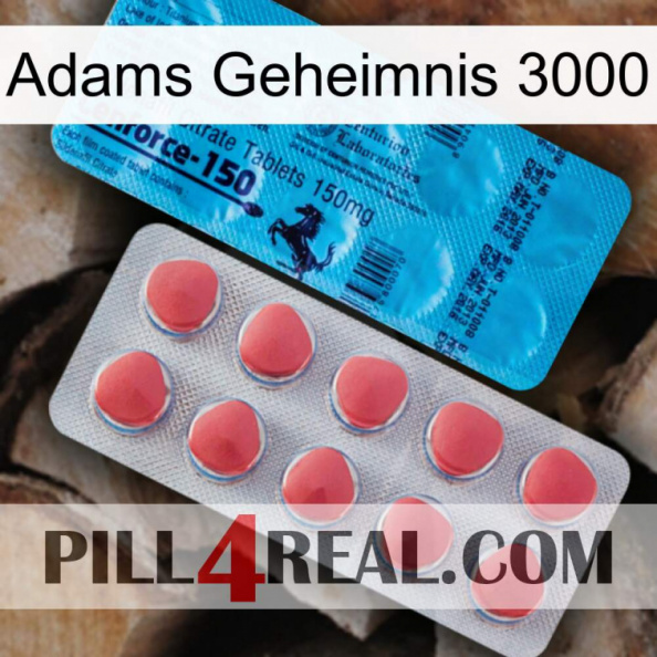 Adams Secret 3000 new14.jpg